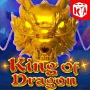 Biểu tượng bảo mật với khiên và khóa, tượng trưng cho sự an toàn và tin cậy khi cá cược tại shbbet nhà cái.